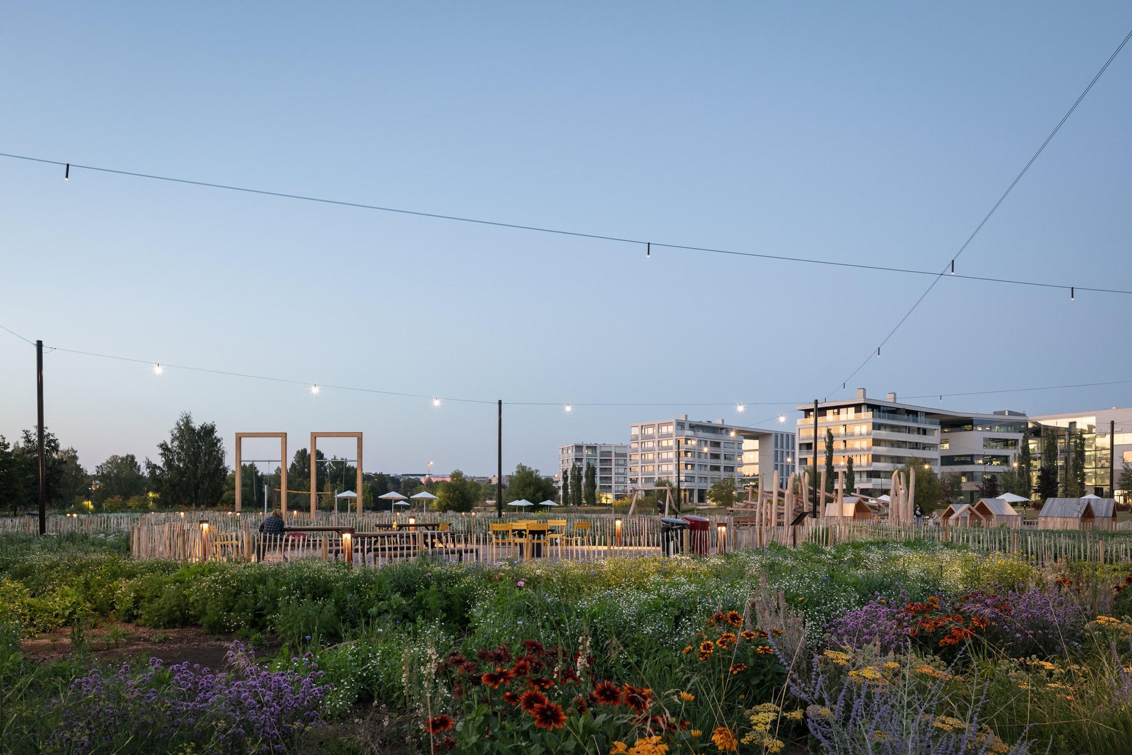 Töölönlahden puiston valaistus, LED Puck Air -vaijerivalaisimet.